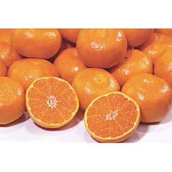 Amazon.co.jp: 和歌山県産 温州みかん 約10kg 2S~2Lサイズ混合